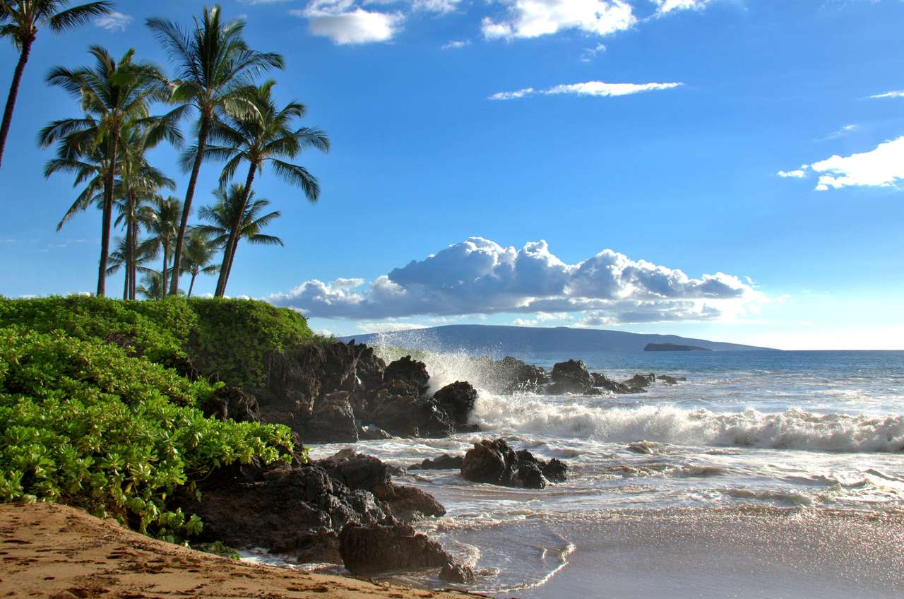Tropikalna hawajska plaża z palmami puzzle online