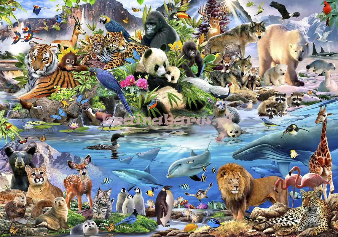 Zwierzęta świata puzzle online