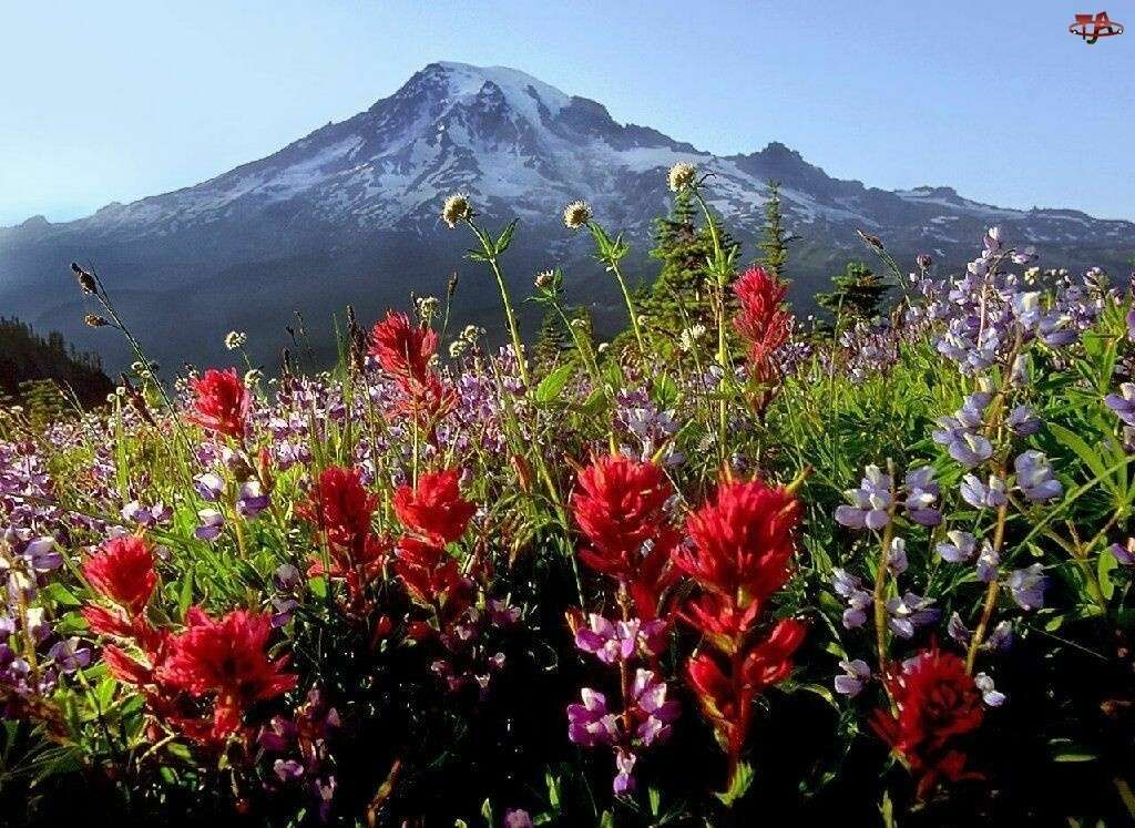 Polana w kwiatach w górach puzzle online