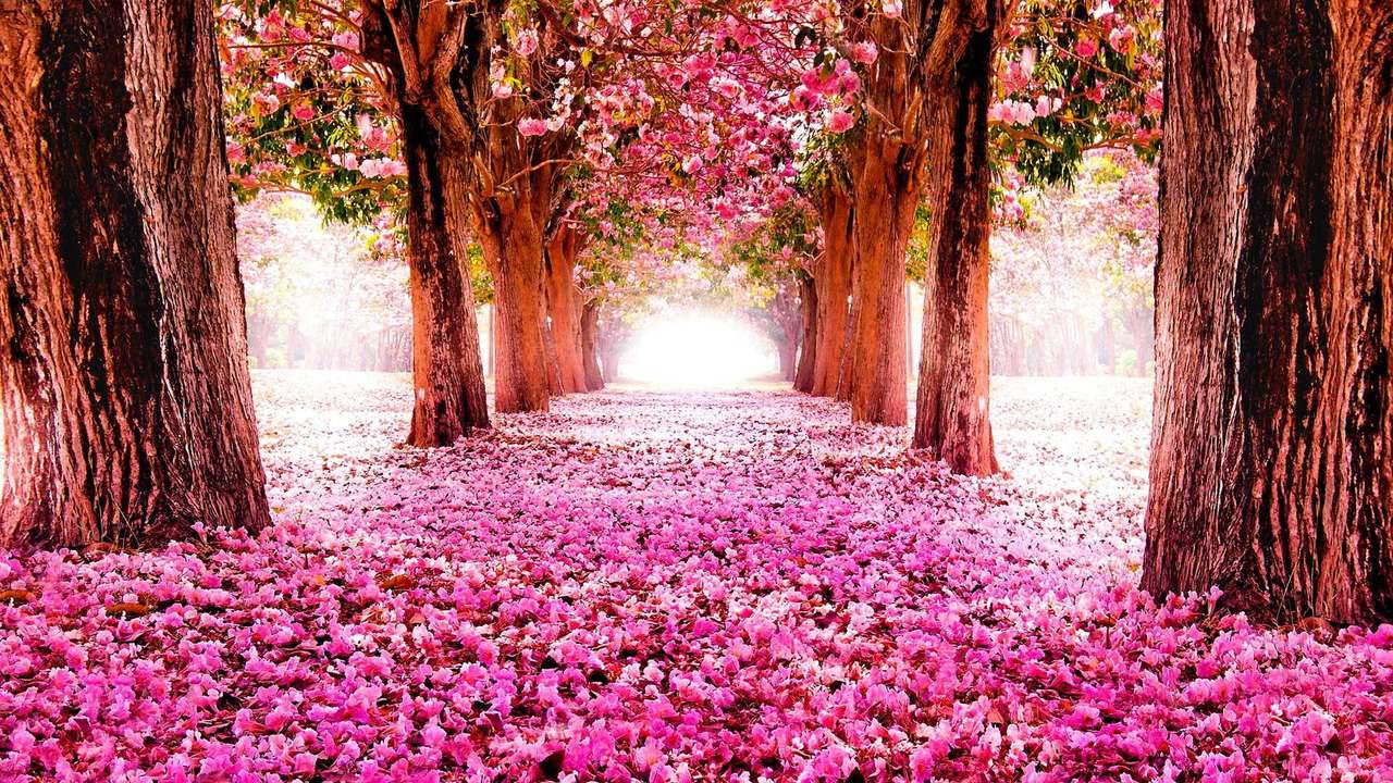 różowe lasy drzew puzzle online