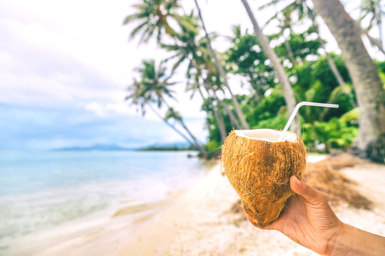 Świeża woda kokosowa puzzle online