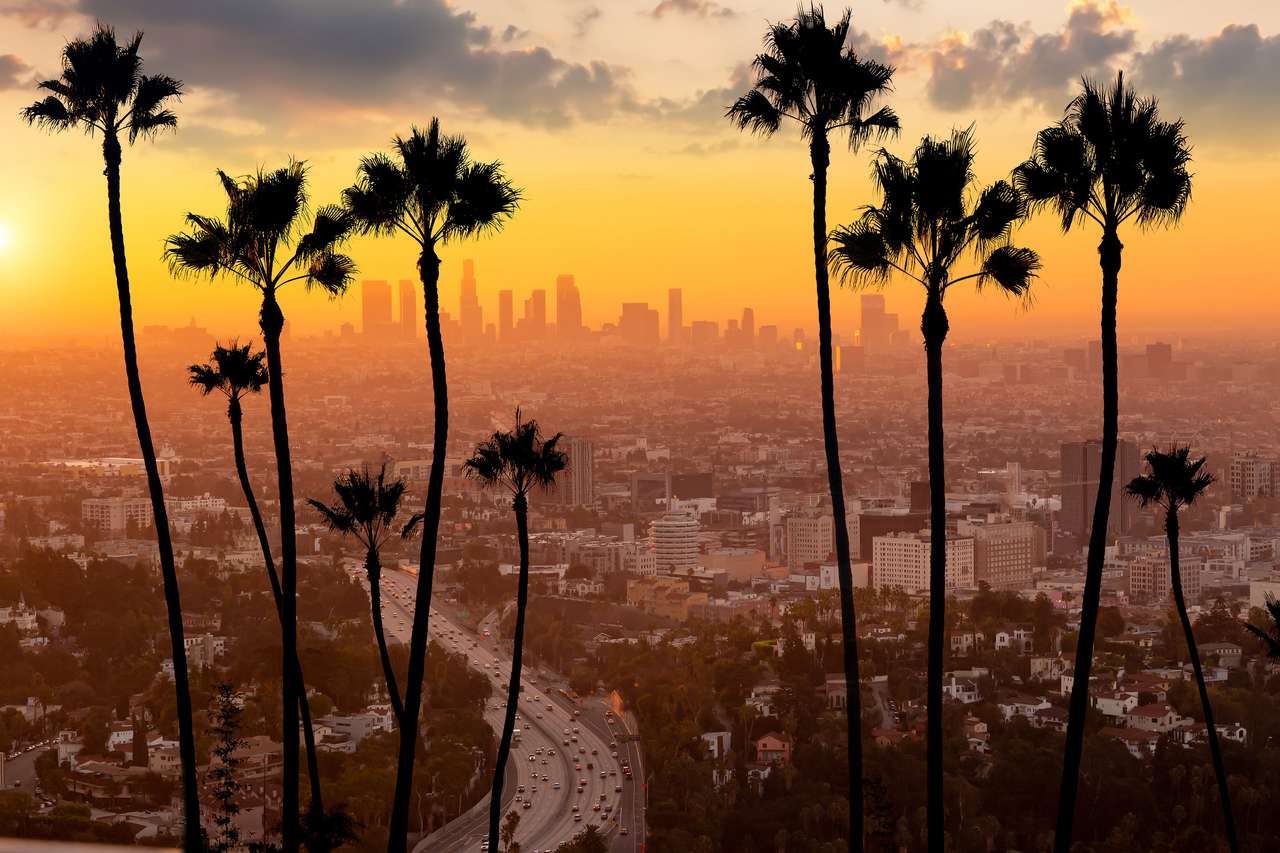 Panoramę miasta Los Angeles puzzle online