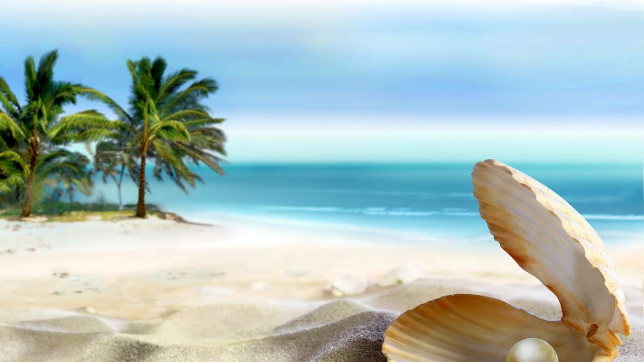 Perła na plaży, piasku i morzu puzzle online