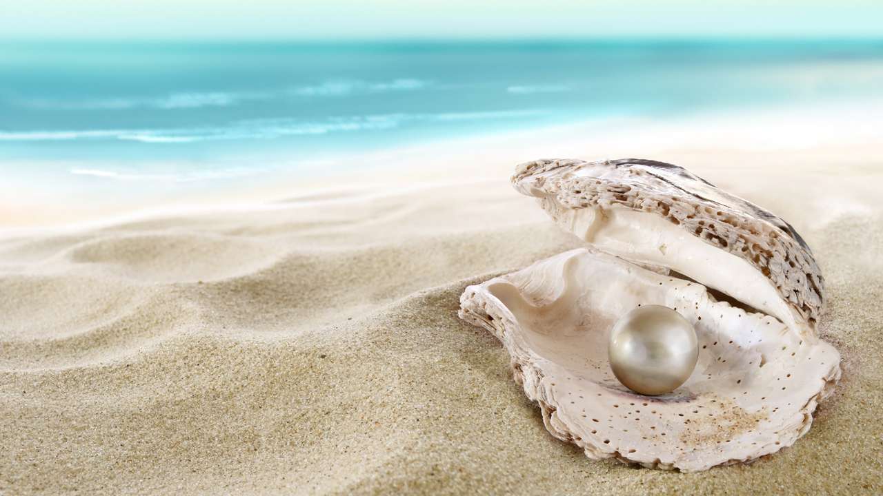 piękna perła w morzu puzzle online