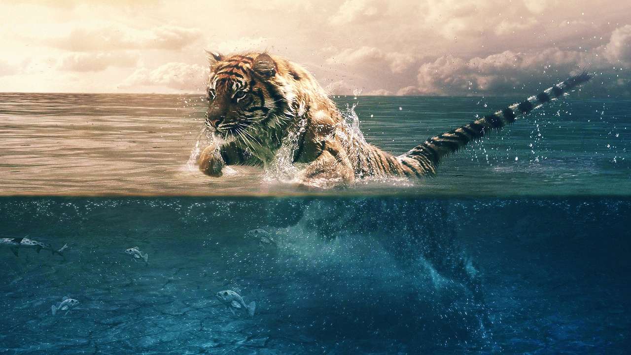 tygrys skacze w wodzie puzzle online