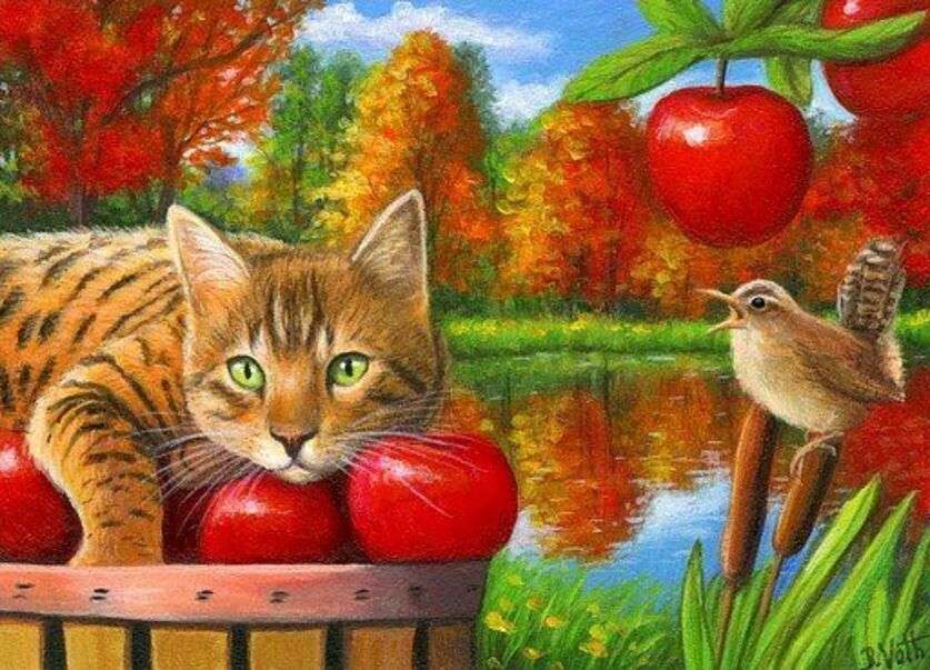 Kotek leżący na jabłkach puzzle online
