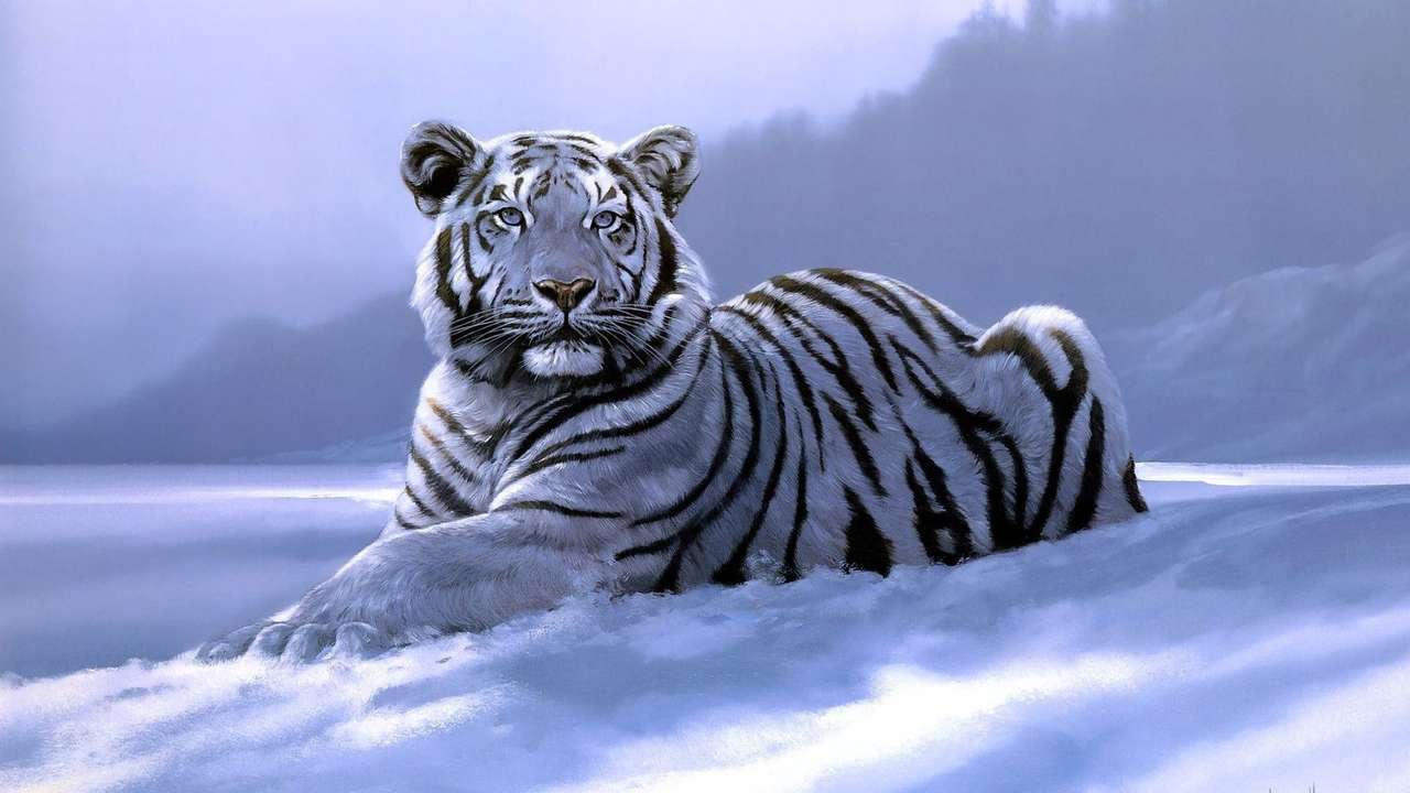tygrys bengalski na śniegu puzzle online