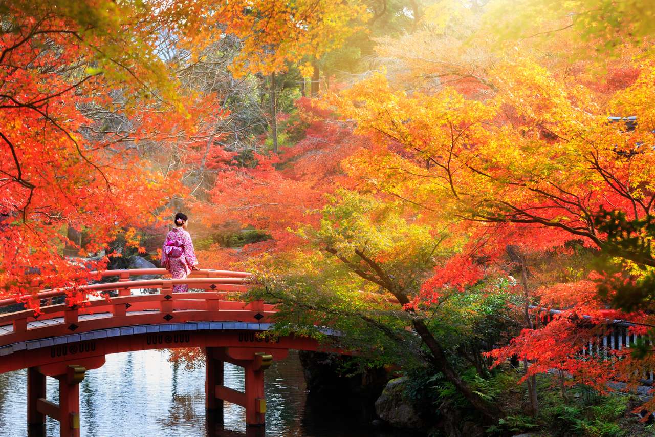 Drewniany most w jesiennym parku, Japonia puzzle online