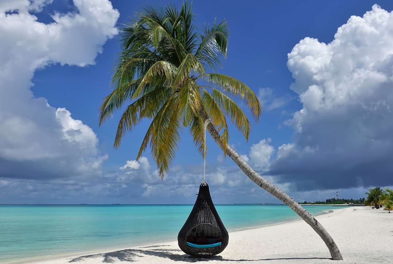 Drzewo kokosowe pochylone nad piaszczystą plażą puzzle online