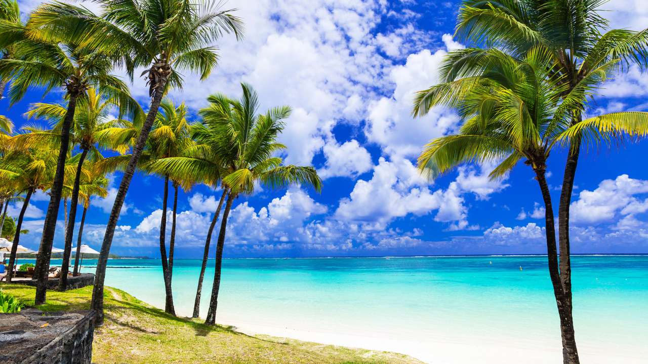 Tropical palm beaches of Mauritius island online puzzle