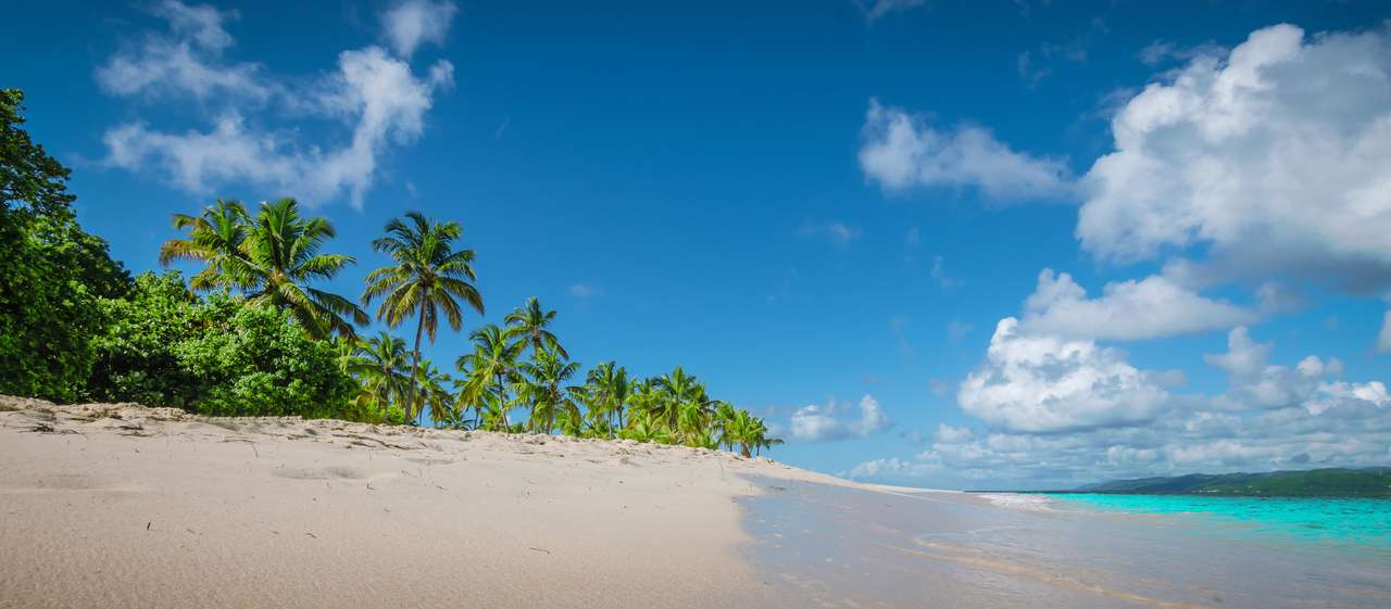 Panoramiczny widok na plażę na karaibskiej wyspie puzzle online