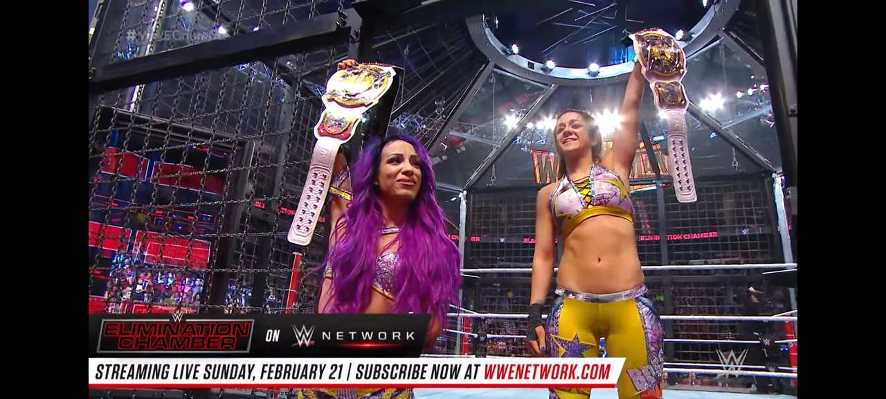 Sasha Banks, Bayley puzzle online