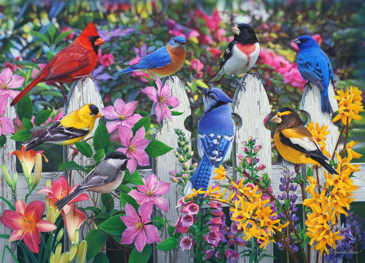 ptaki śpiewające puzzle online
