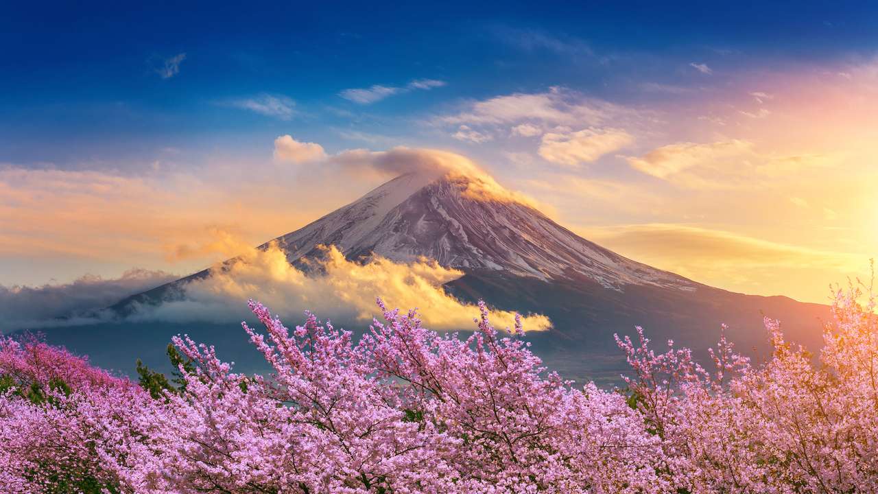 Góra Fuji i wiśniowe kwiaty na wiosnę, Japonia. puzzle online