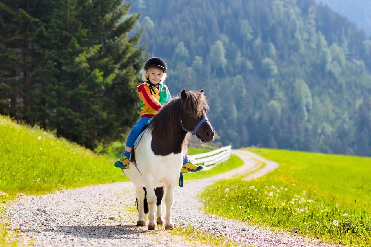 Dziecko na kucyku w Alpach puzzle online