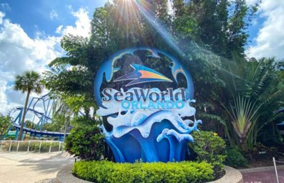 SeaWorld Floryda Usa #1 puzzle online