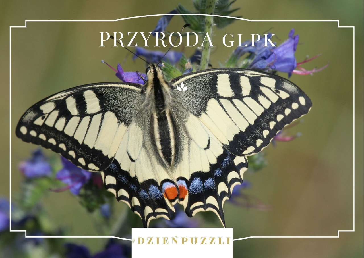 Przyroda Górznieńsko-Lidzbarskiego Parku Krajobraz puzzle online