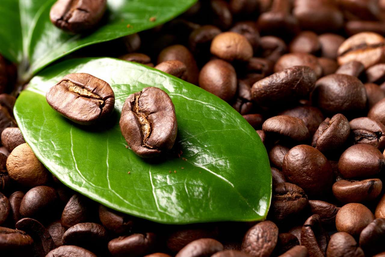 Ziarna kawy z zielonym liściem puzzle online