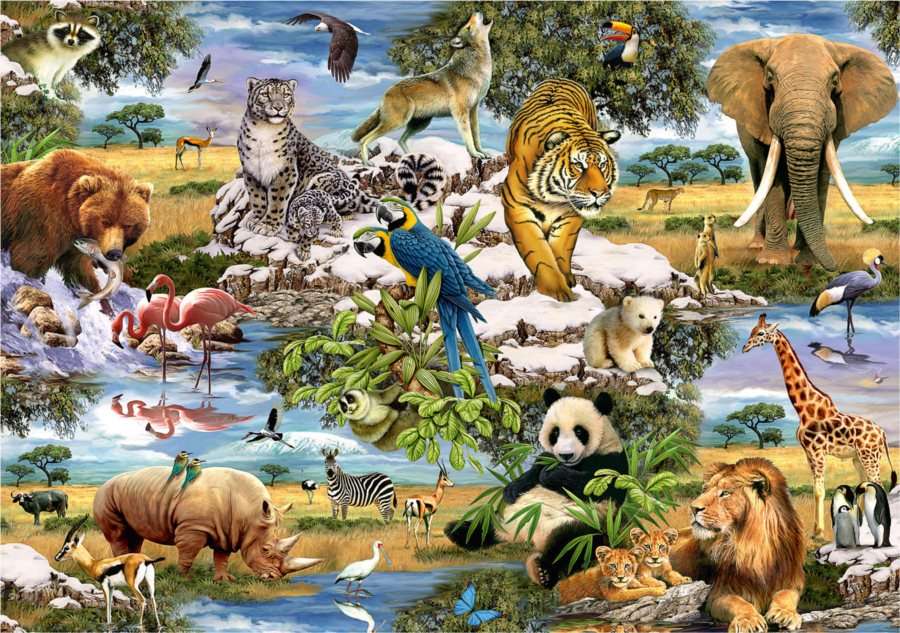 Zwierzęta świata puzzle online