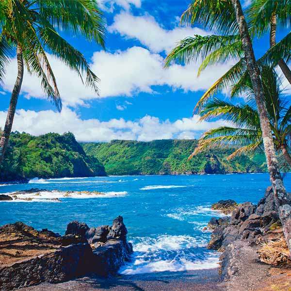 Amerykańskie Hawaje puzzle online