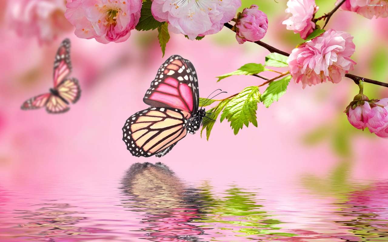 motylki na kwiatach puzzle online