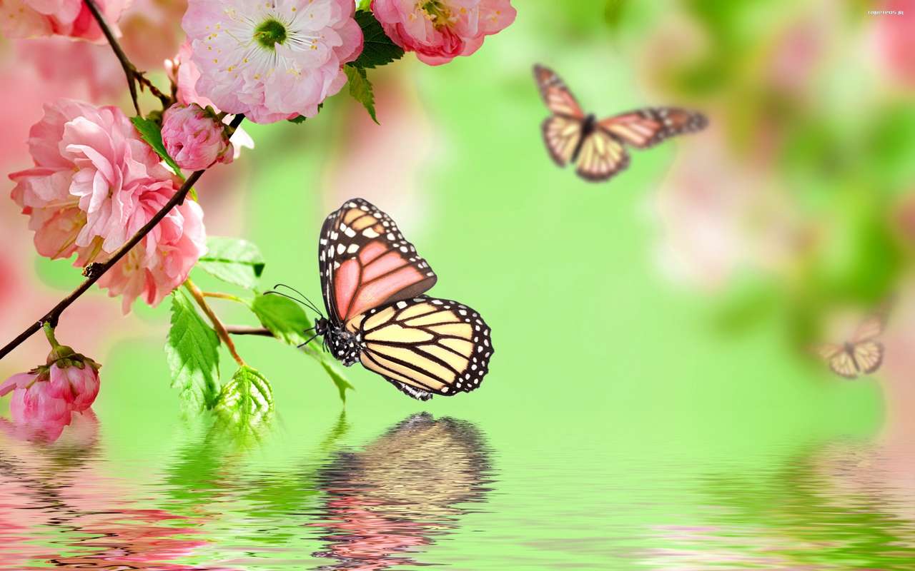 motyle na ślicznych kwiatkach puzzle online