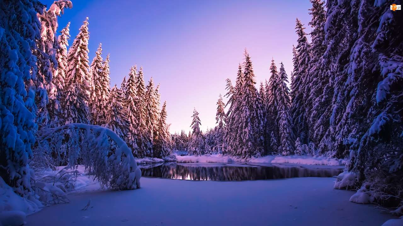 las w środku zimy puzzle online