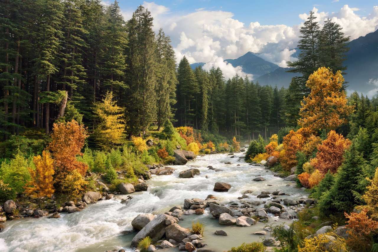 Piękny kolorowy krajobraz ze strumieniem i lasem w jesiennych barwach puzzle online