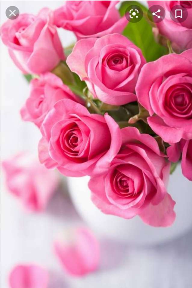 Róże w doniczce i spadające płatki róż puzzle online