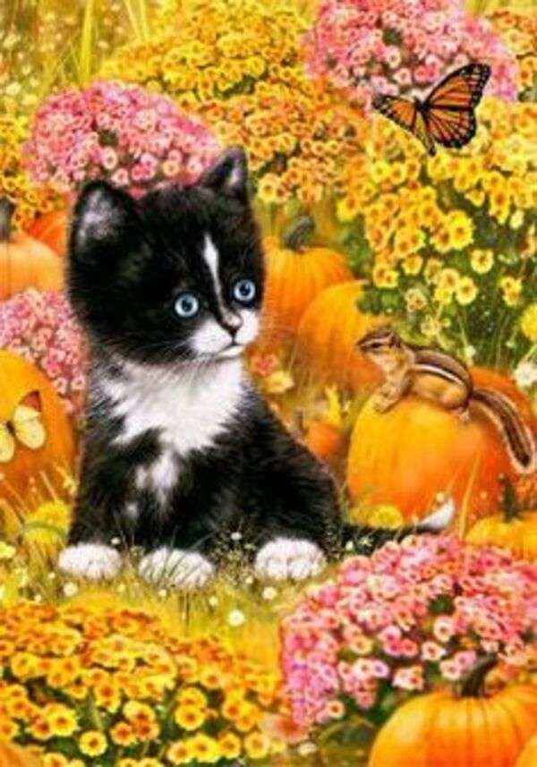Słodki kotek wśród dyni, kwiatów i małej wiewiórki puzzle online