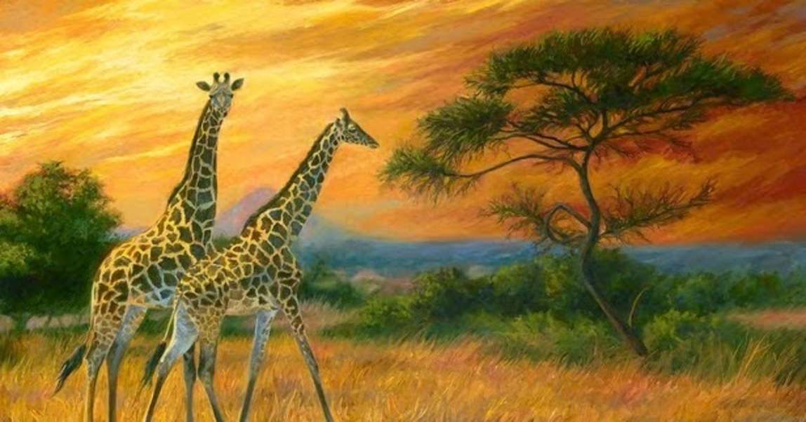 Dwie piękne żyrafy na otwartym polu puzzle online