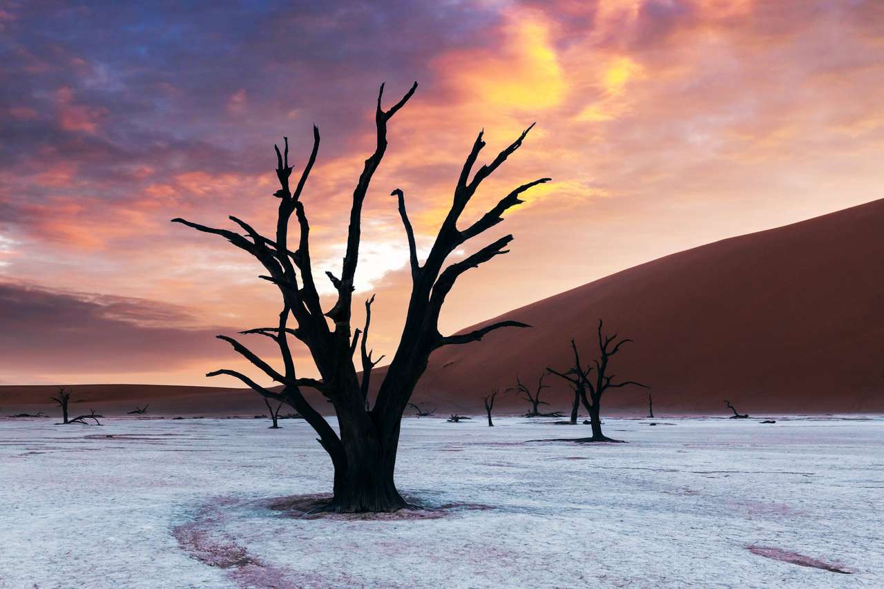 Martwe drzewa Camelthorn o wschodzie słońca puzzle online