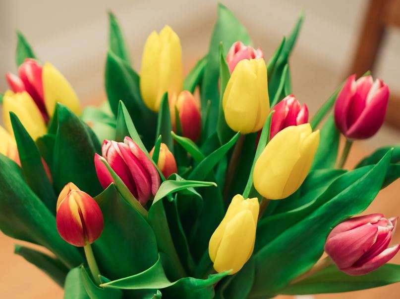 Bukiet kolorowych tulipanów puzzle online