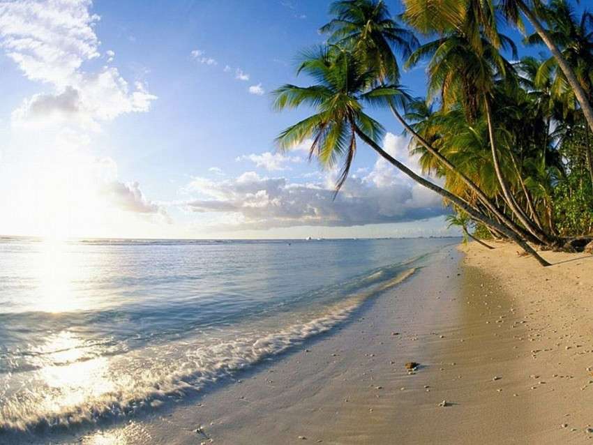 Piaszczysta plaża w słoneczny dzień puzzle online