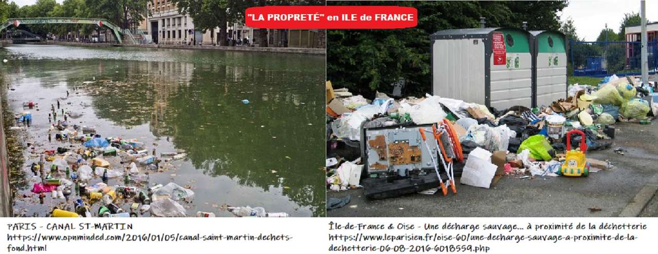 „Czystość” w Paryżu: bardzo obrzydliwi mieszkańcy! puzzle online