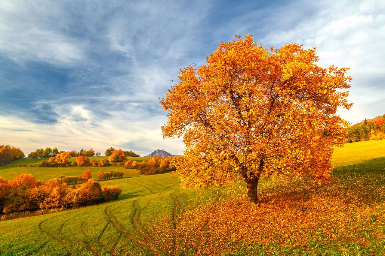 Krajobraz z drzewami w jesiennych barwach puzzle online