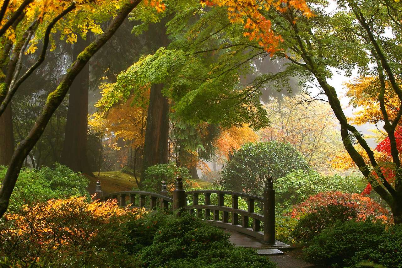 Mgła i jesienne liście w ogrodach japońskich puzzle online