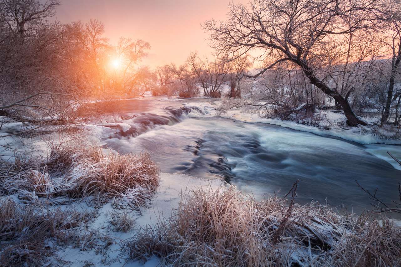 Zimowy krajobraz z ośnieżonymi drzewami puzzle online