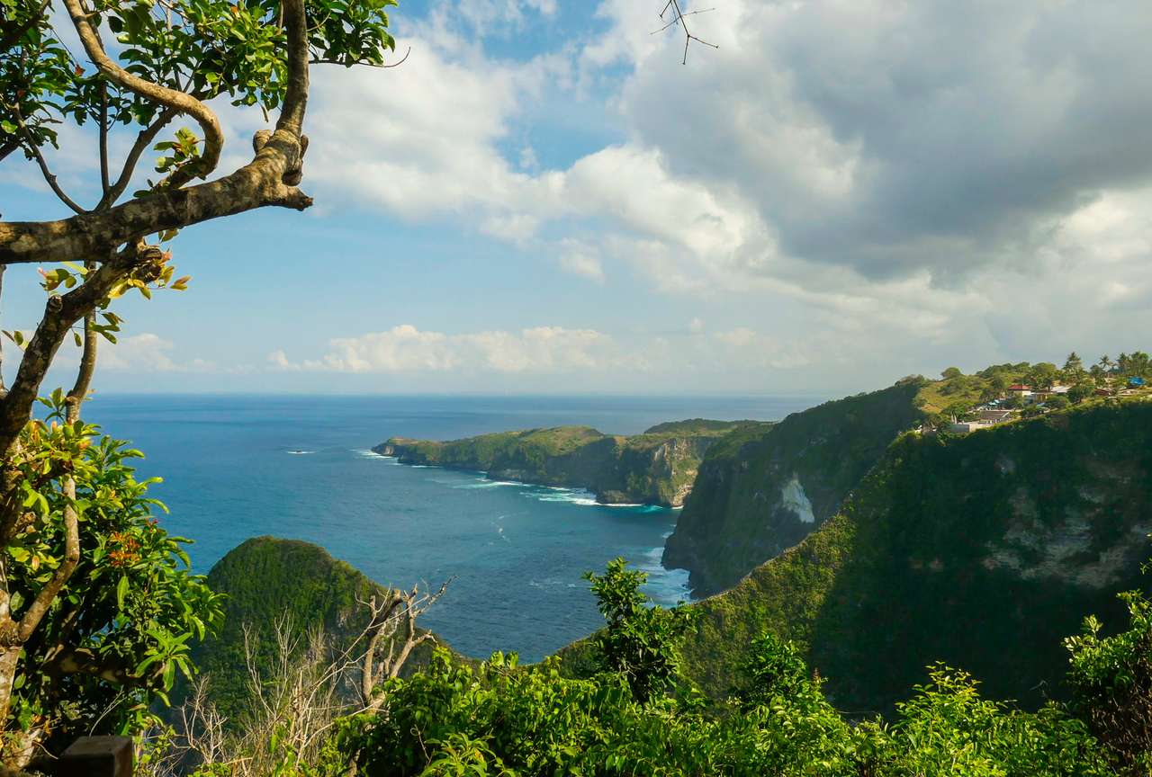 wybrzeże tropikalnej wyspy puzzle online