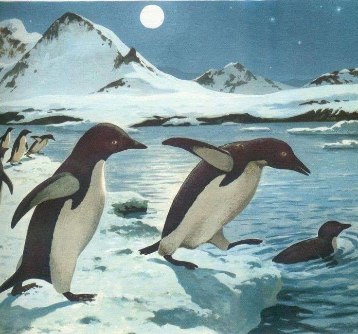 "Pinguinii jucausi" puzzle online