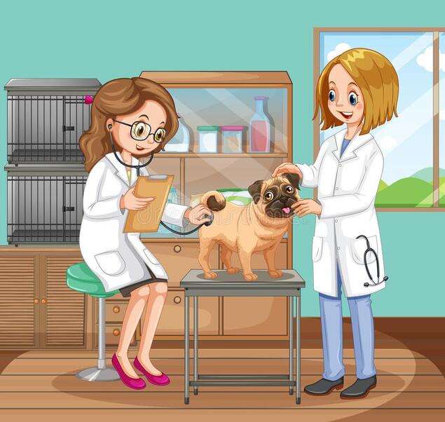 Dwóch lekarzy sprawdza szczeniaka - weterynarz #1 puzzle online