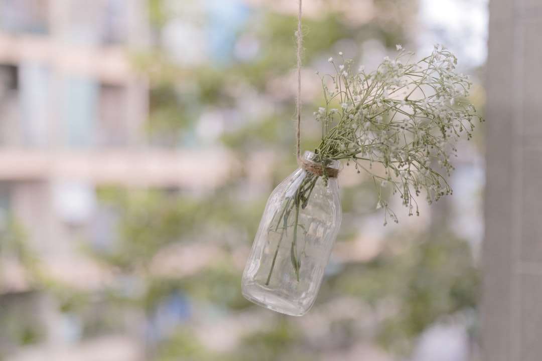płytkie zdjęcie ostrości zielonolistnej rośliny w butelce puzzle online