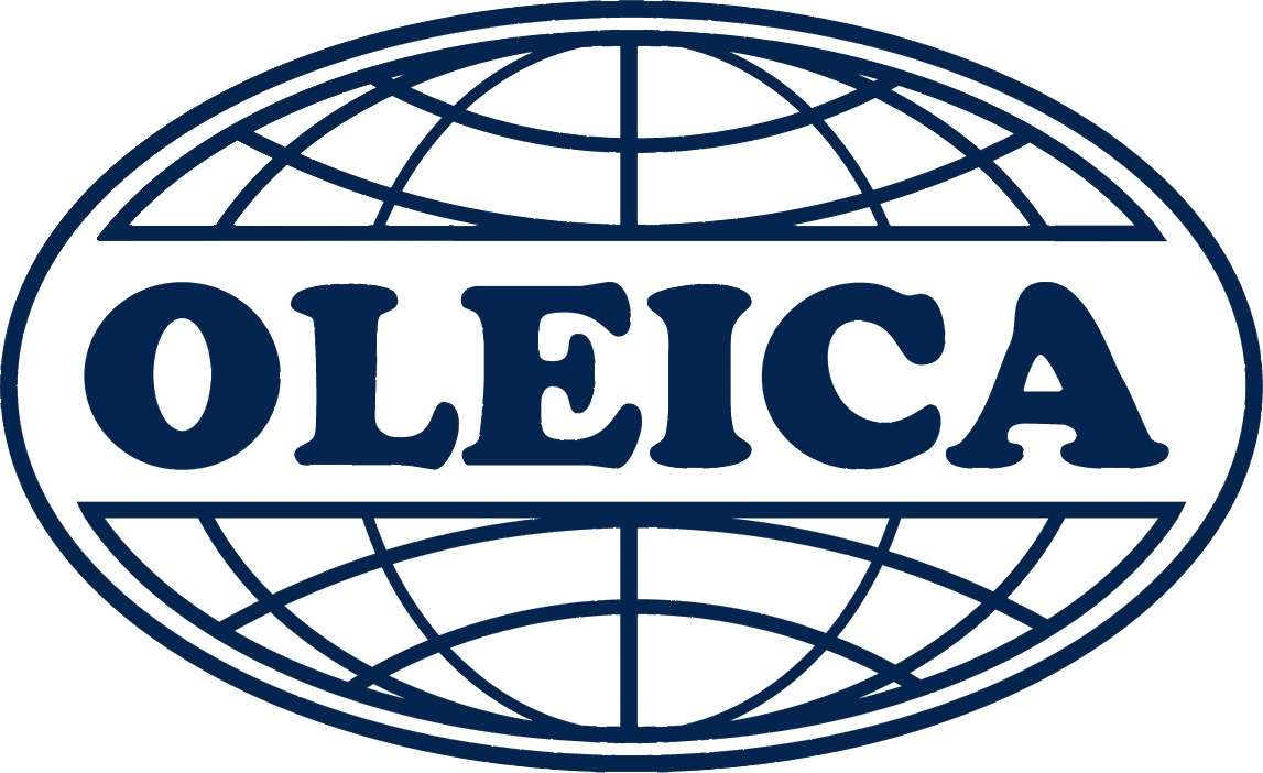 logo oelica puzzle online