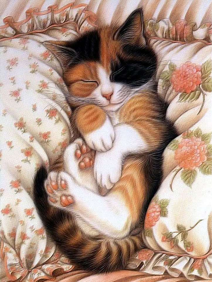 Kitty Sleeper. puzzle online