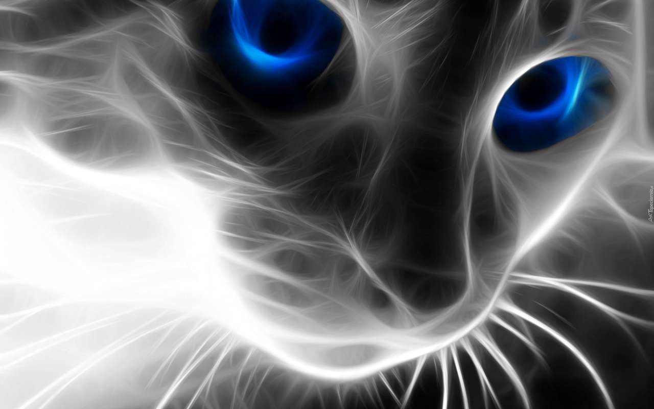 Kot z niebieskimi oczami puzzle online