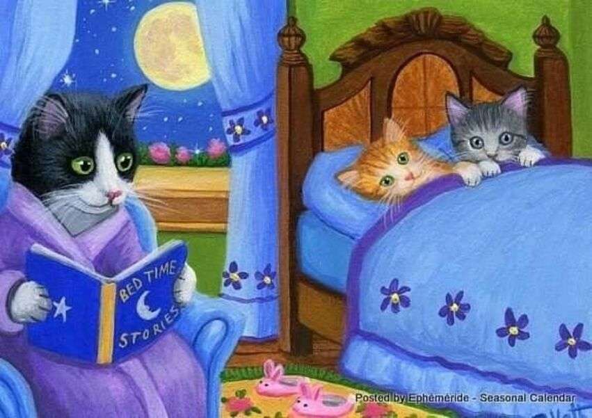 Kocięta leżą w swoim łóżku puzzle online