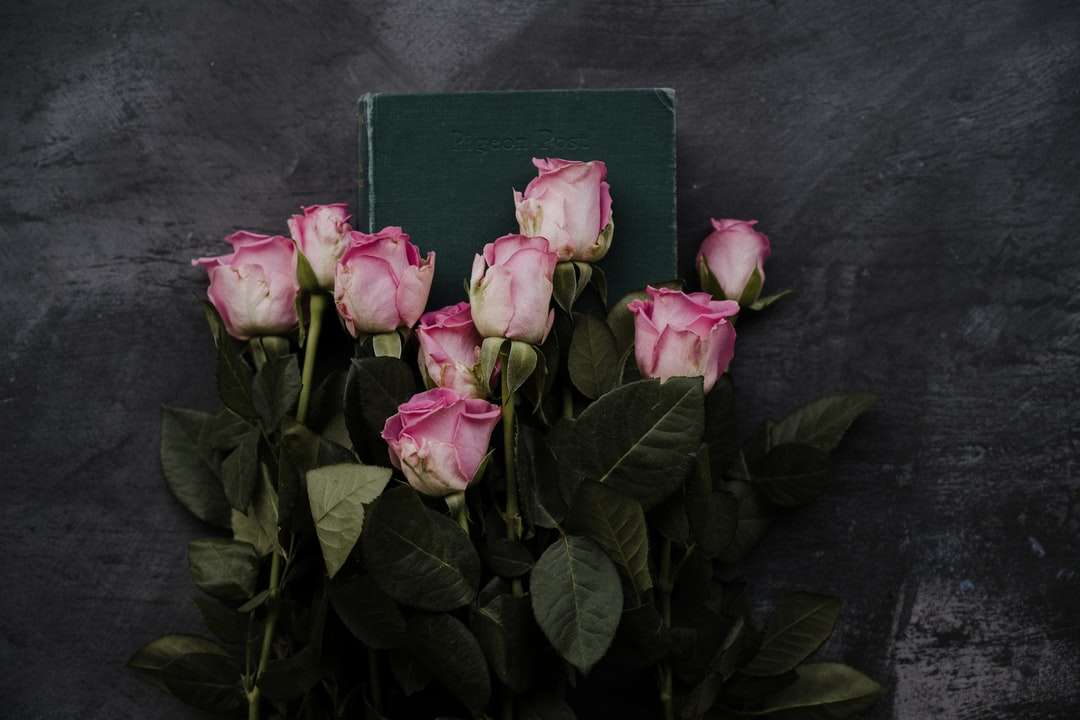 różowe róże na czarnym materiale puzzle online