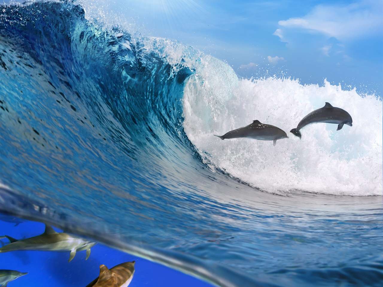 fale-morskie-delfin puzzle online