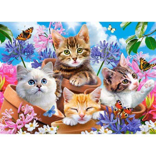 Cztery urocze kociaki widzą motyle puzzle online