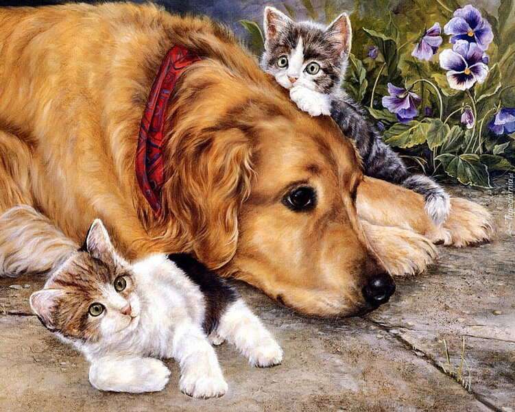 Dwa małe kocięta obok dużego psa puzzle online